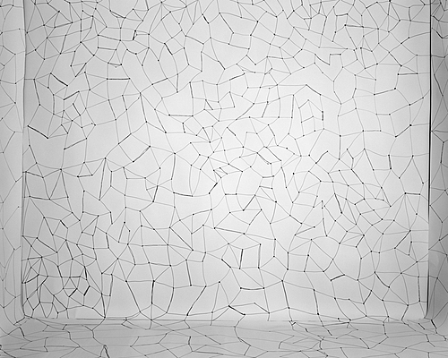 Dots, Lines, Web (Ways to Demarcate Space), 2012